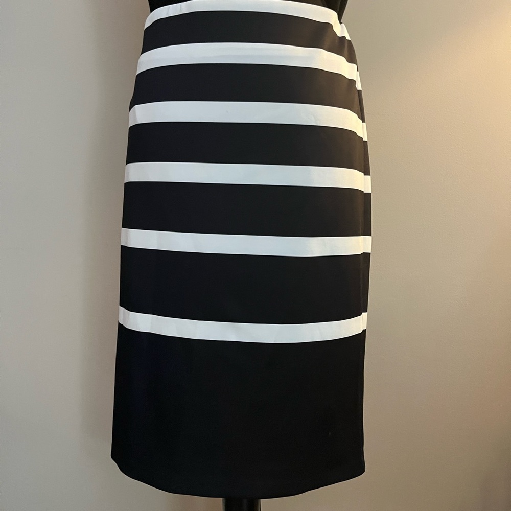 Pencil Skirt